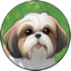 dulldog.com